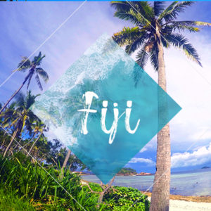FIJI PALM TREES - Euphoric Threads Euphoric Escapades Travel Blog